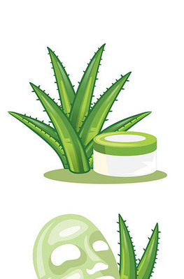 人參護(hù)膚品矢量素材 化妝品視覺設(shè)計(jì)的魅力與創(chuàng)新